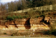 Buntsandstein im wahren Sinne: Gelbe und rote Farben zeichnen die Sandsteine dieser geologischen Epoche (hier bei Wallhalben) aus.