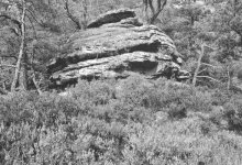 Abb. 1: Heidebestand auf einem Felsen, ein FFH-geschützter und gegen häufiges Betreten sehrempfindlicher Lebensraum. (Foto: 0. Röller)